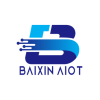 BAIXIN AIOT (SHENZHEN) TECHNOLOGY CO.LTD at Seamless Middle East Digital Commerce 2025